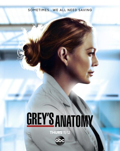 实习医生格蕾 第十七季 Grey's Anatomy Season 17‎ (2020)